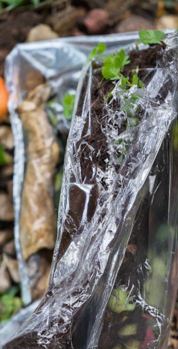 cling wrap in compost soil