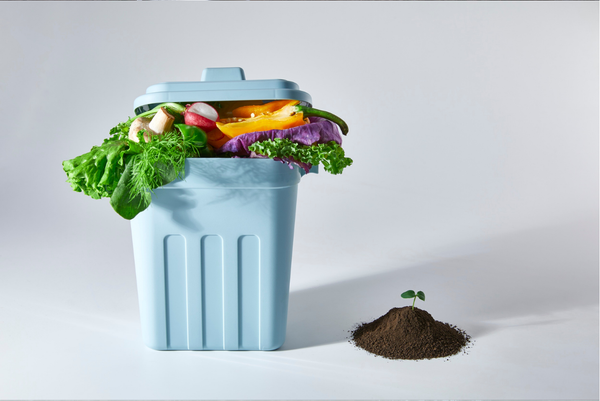 Food scraps in a compost bin turning into soil with a small sprout, symbolizing home compostable cling wrap eco-friendly cycle.